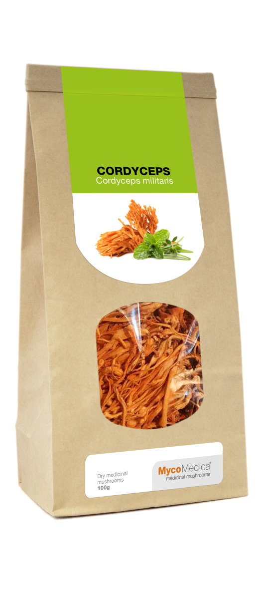 Cordyceps séché